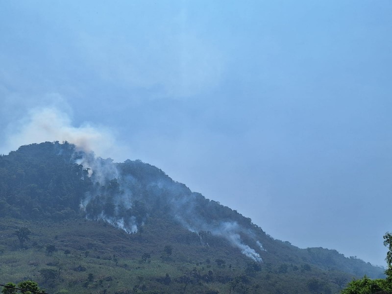 Reportan incendio forestal en Zoquitlán