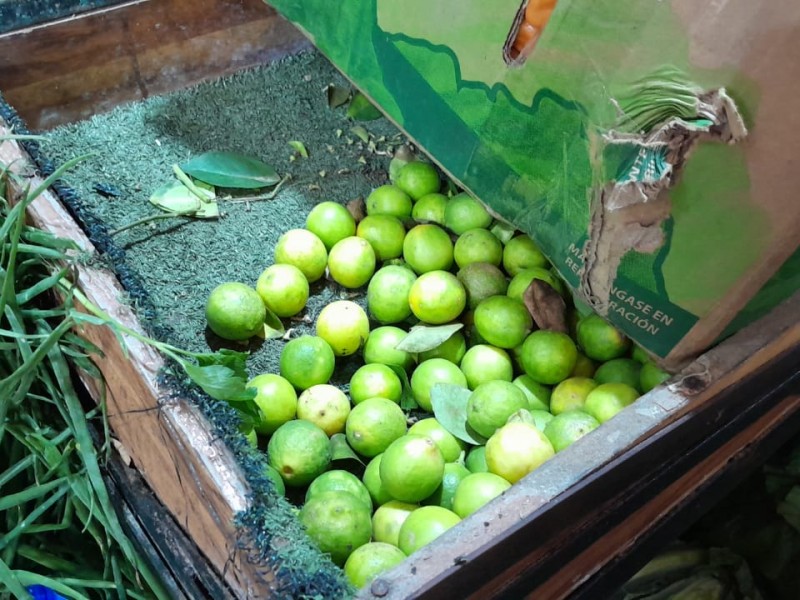 Reportan negocios con pocos kilos de limón en Zihuatanejo