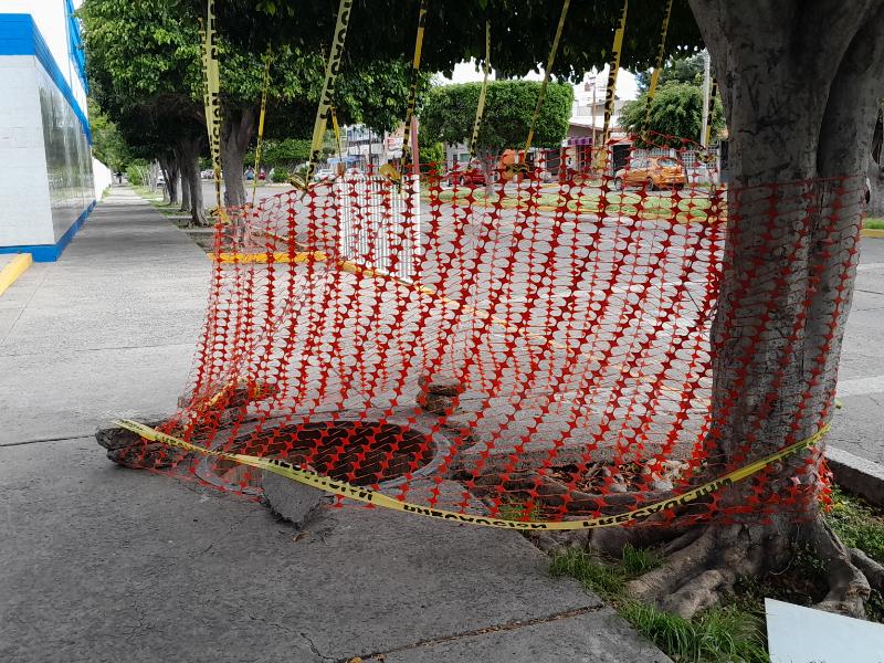 Reportan orificio sin tapa cerca de la entrada de  una primaria
