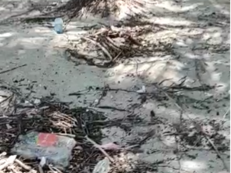 Reportan presencia de basura al final de playa Las Gatas