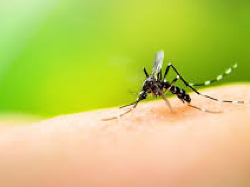 Reportan primer deceso por dengue en Jalisco