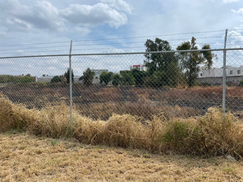 Reportan terreno en abandono, ubicado en el Tlacuache