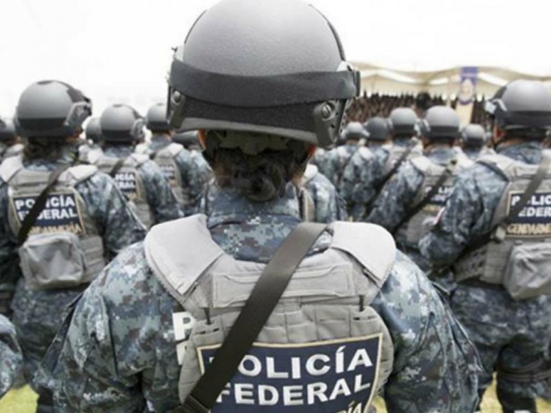 Reportarán presuntas agresiones de Gendarmería a la CNDH