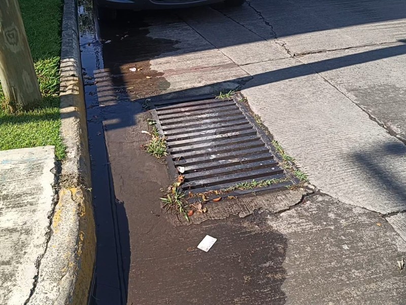 Reporte de fugas de Agua en Zamora
