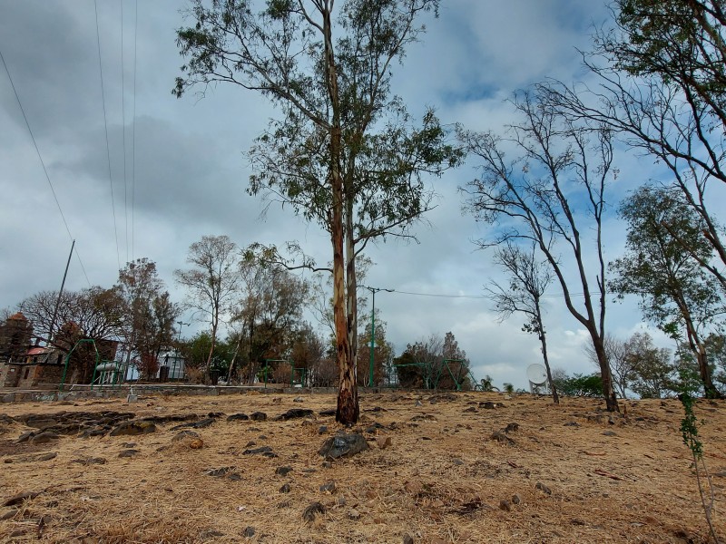 Reprueban desarollo habitacional en Cerro de la Reina