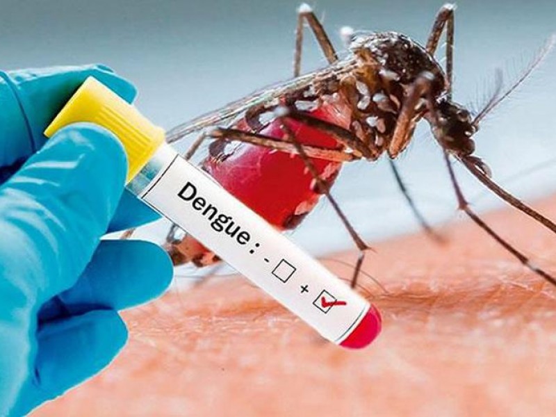 Repuntan casos de dengue en el país