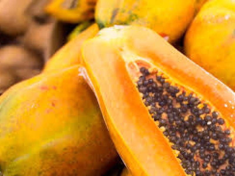 Repunta producción de papaya en la entidad