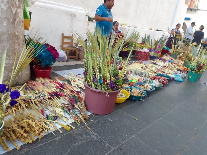 Repuntan las ventas de palmitas en Veracruz