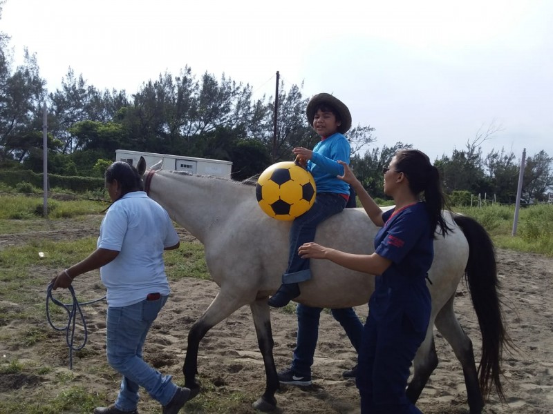 Requiere fundación Yaritza apoyo para sus caballos