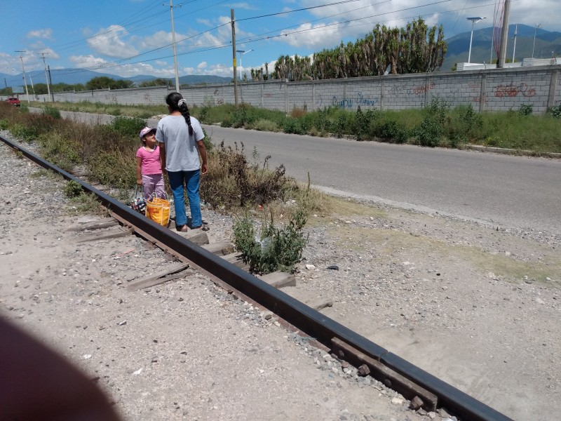 Requieren vecinos señalética y reductor vial en Viveros