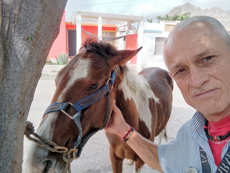 Rescata pareja a potrillo de morir ahogado en aguas negras