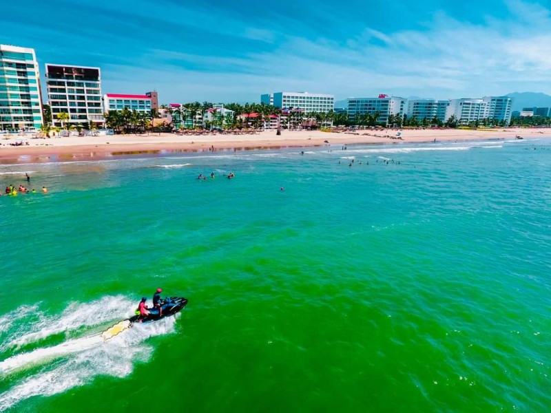 Rescata y libera PC 190 tortugas en playa Nuevo Vallarta