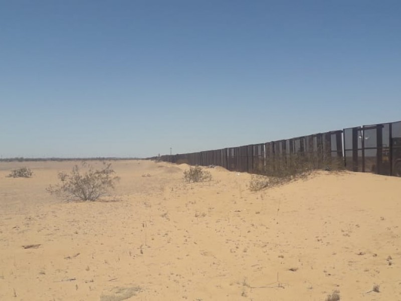 Rescatan a 4 migrantes en el desierto