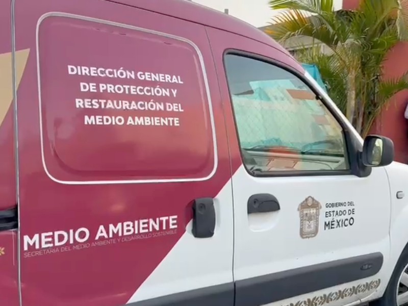 Rescatan a otro perro maltratado en Chalco