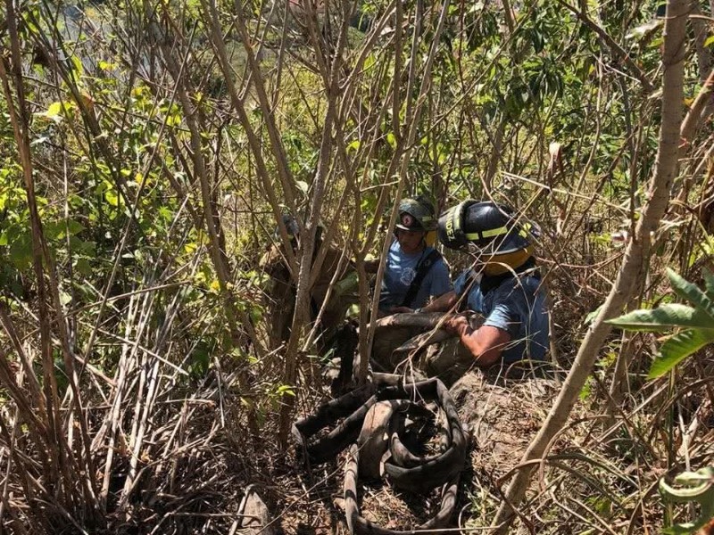 Rescatan a perrito de un barranco; Cerro de la Cruz