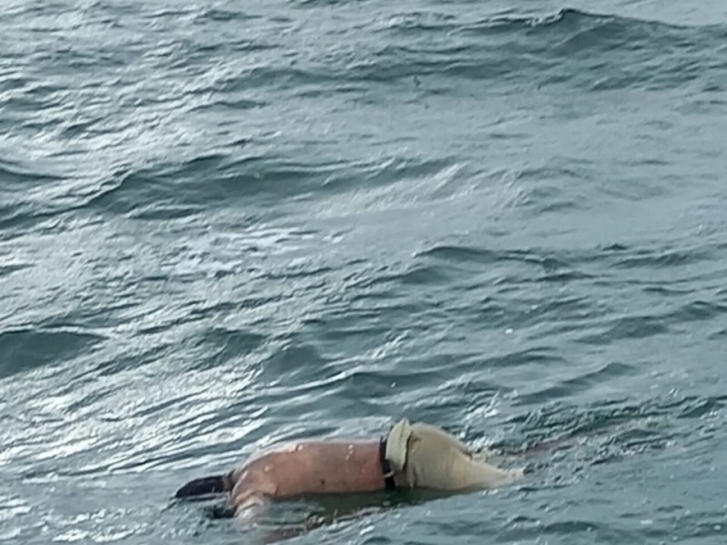 Rescatan a pescadores de naufragio en Boca del Cielo