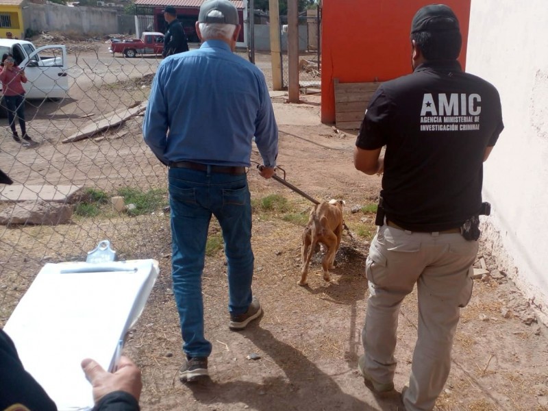 Rescatan agentes AMIC a “Bayron” por maltrato o crueldad animal