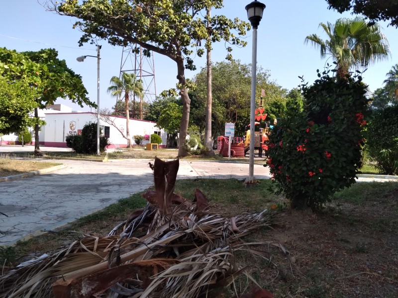 Rescatan parques y áreas verdes de Salina Cruz