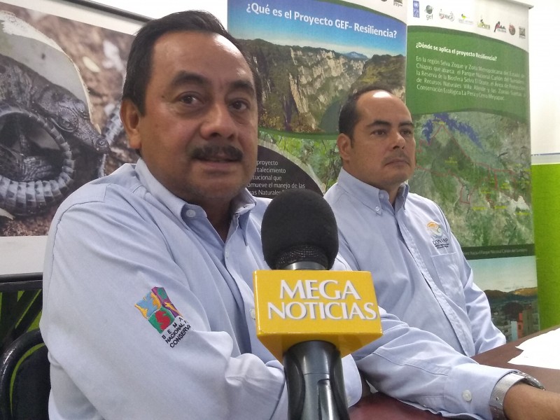 Rescatan selva zoque en Chiapas