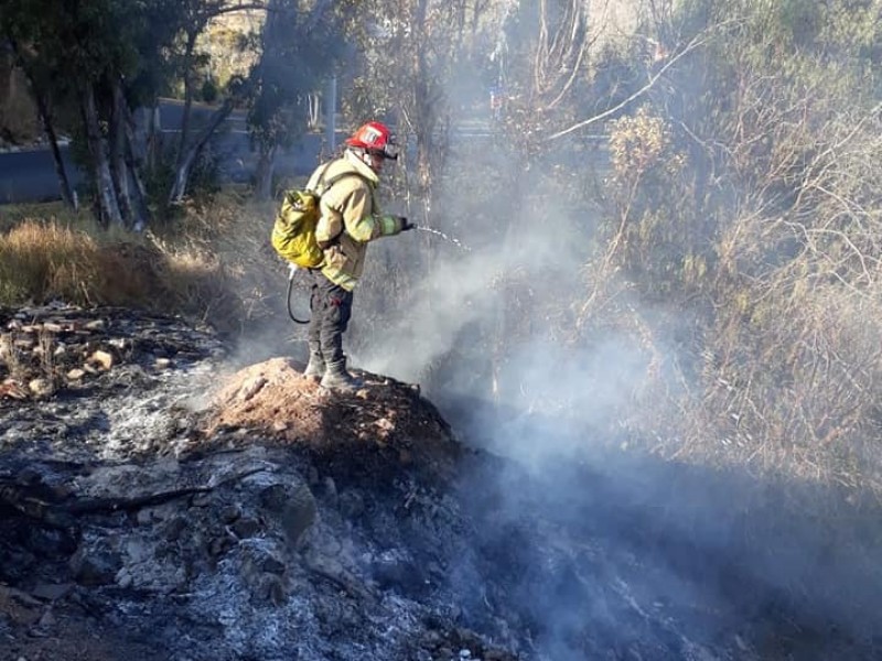 Rescatan una garza en incendio registrado camino a la Bufa