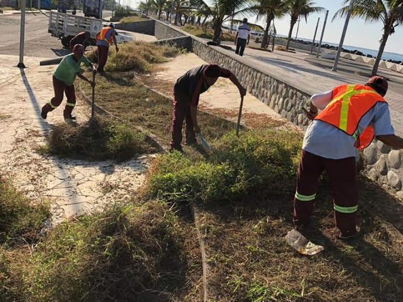 Rescate de espacios públicos en Tapachula