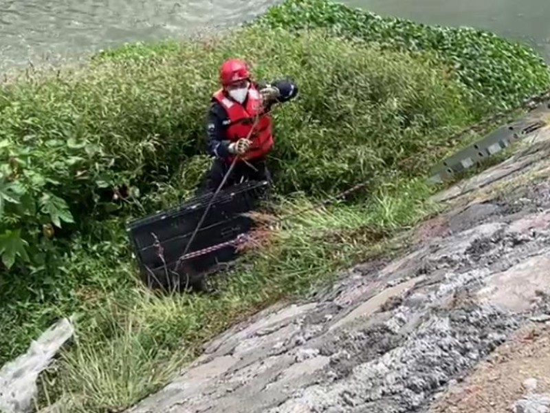 Rescates de animales en Querétaro y su proceso