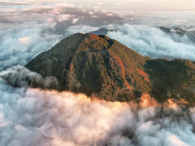 Reserva del Tacaná; cumple un año más como área protegida