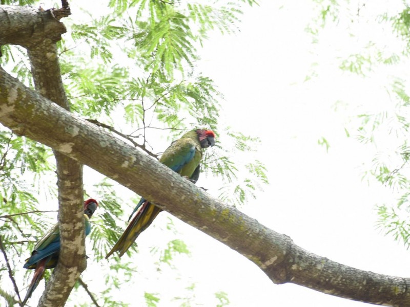 Reserva Ecológica Nuestra Señora Mundo Natural