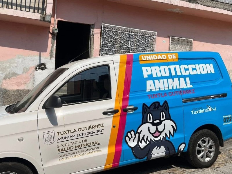 Resguardan a mascotas que fueron agredidas por vecinos en Tuxtla Gutiérrez