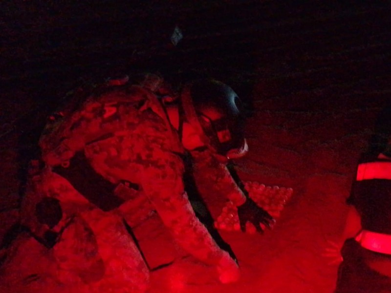 Resguardan nidos de tortuga en peligro de extinción