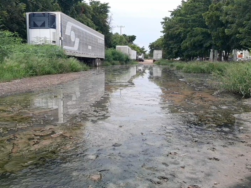 Residentes en la colonia San Fernando viven entre lagunas de aguas pestilentes