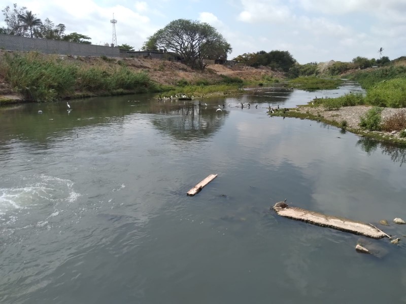 Residuos sólidos industriales y urbanos contaminan los ríos: Tomás Chiñas