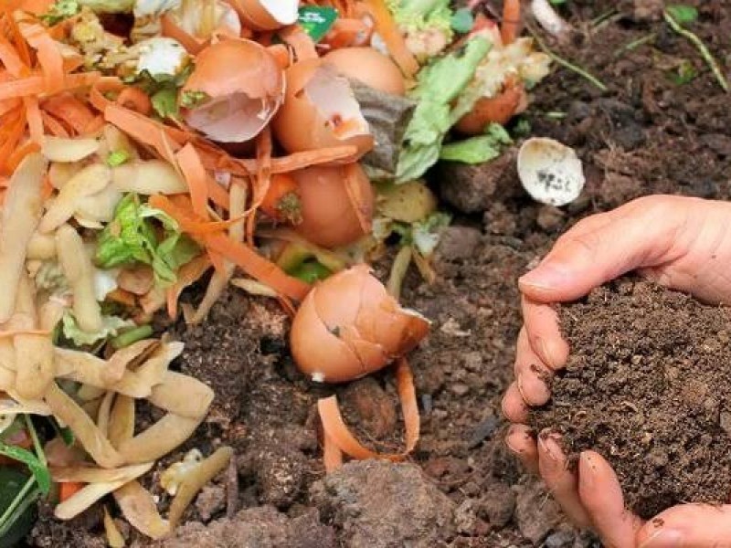 Resistencia en productores para uso de fertilizantes orgánicos en cultivos