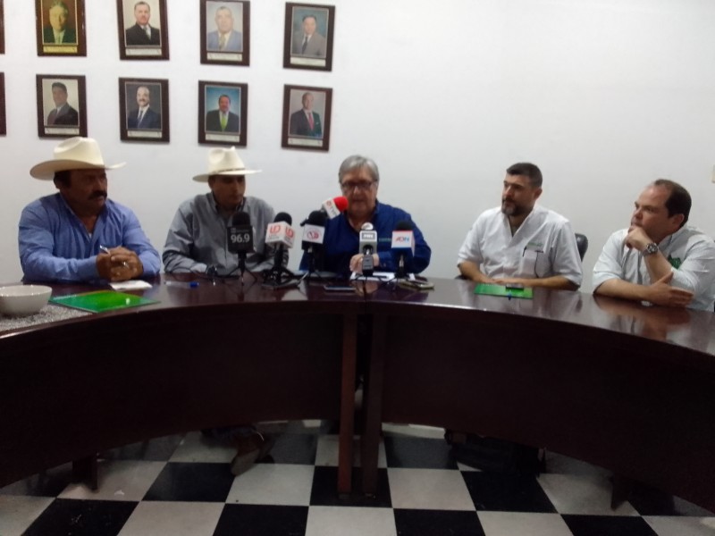 Respalda sector agrícola negociaciones del gobernador sobre precio del maíz