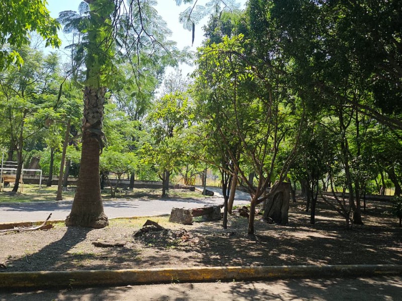 Respalda Sheriff Verde protección de zona de Los Alcanfores