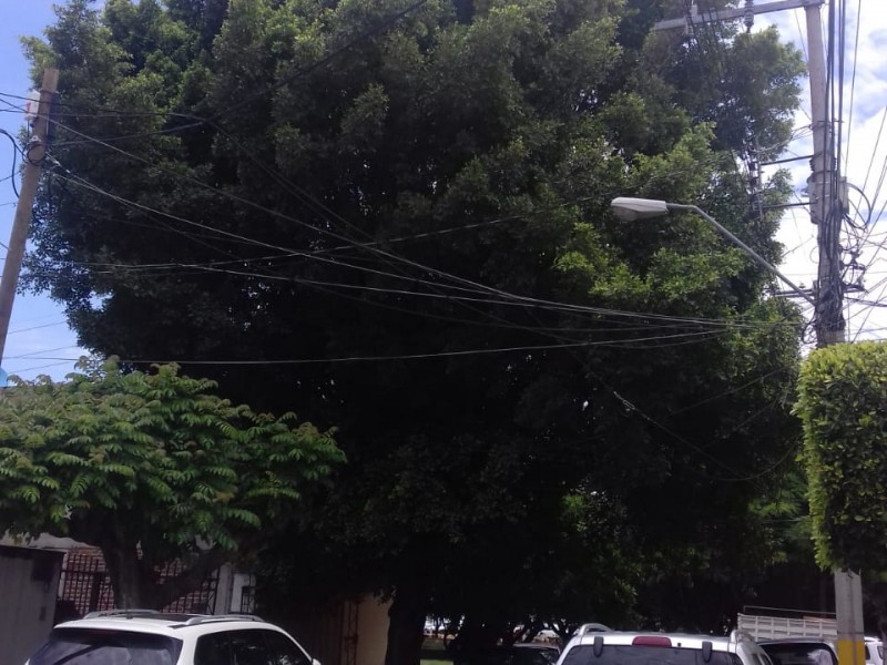 Responde Gestión Ambiental reporte en Valle del Campestre