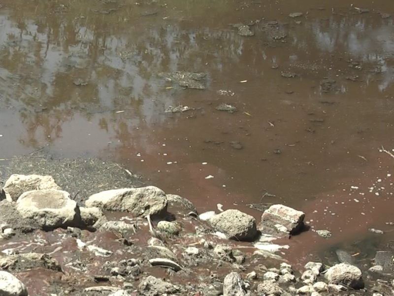 Respuesta positiva de PEMEX para los ambientalistas