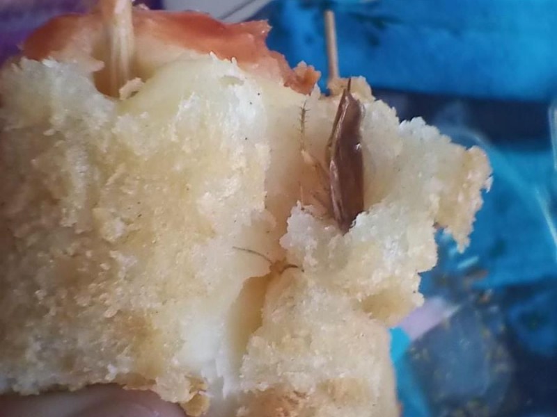 Restaurante de Xalapa envió comida con cucaracha dentro