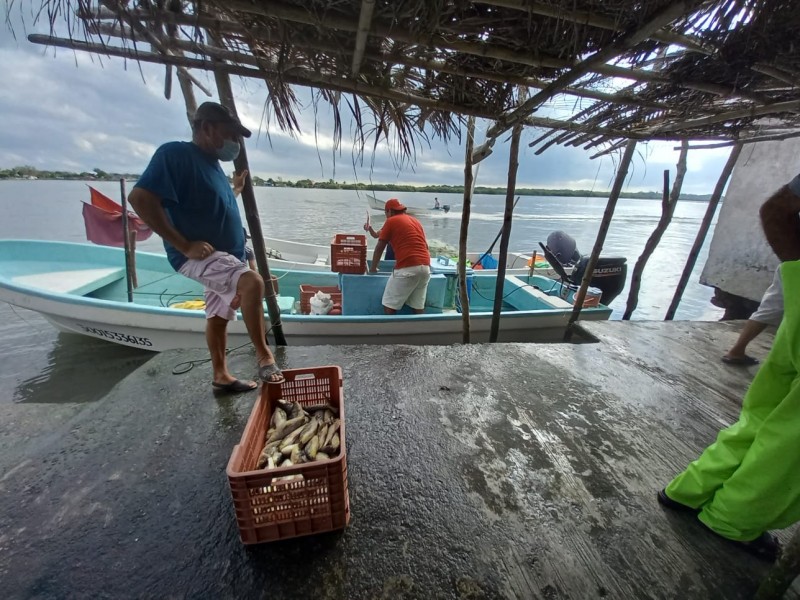 Restauranteros sufren por encarecimiento de mariscos