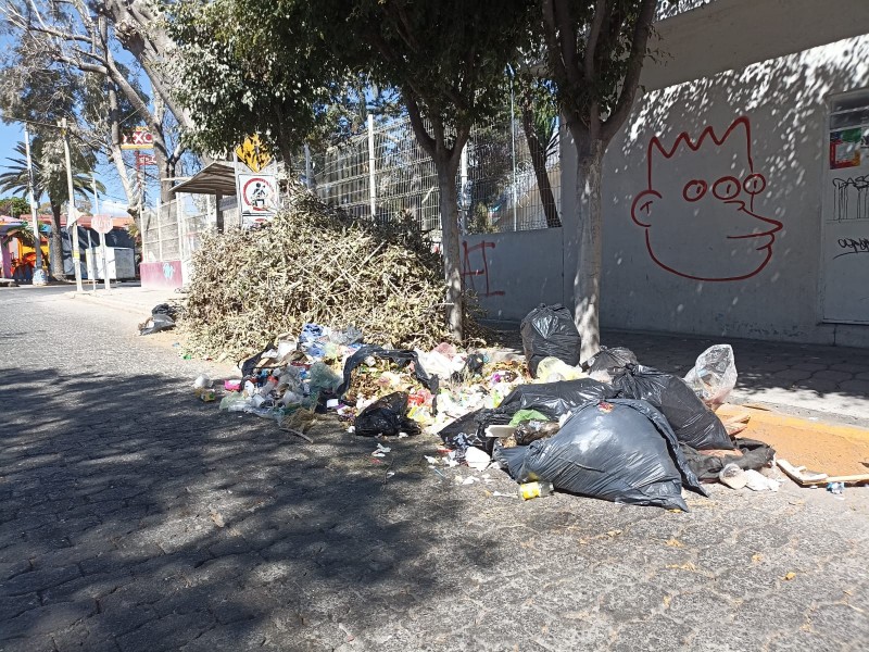 Restos de podas y basura sobre Pastor Rouaix