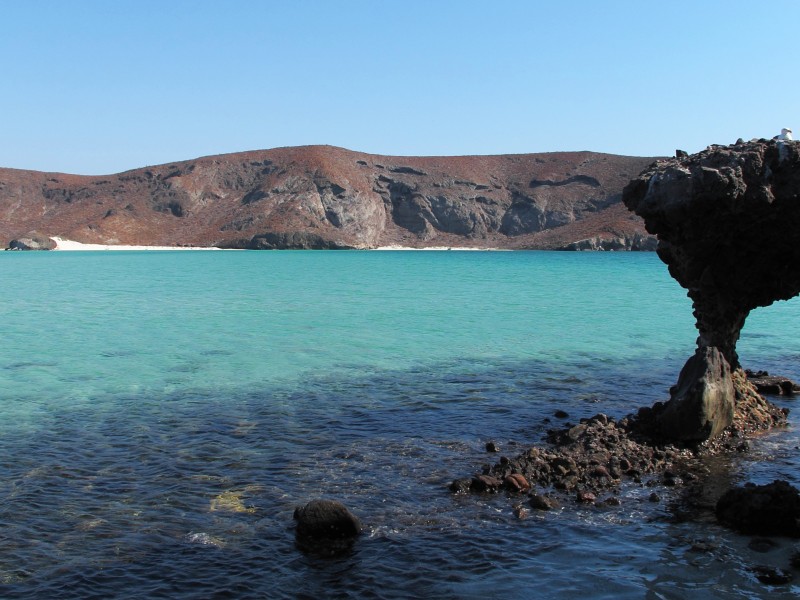 Restringen visitas en playa Balandra