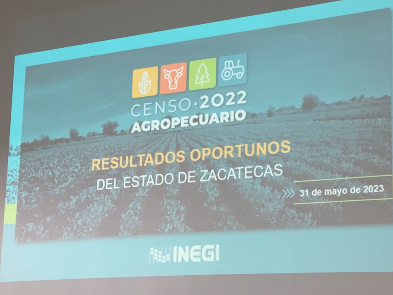 Zacatecas redujo un 6% la superficie de uso agrícola