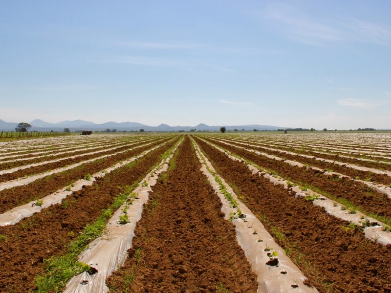 Retan a Diputados crear políticas públicas a favor del campo