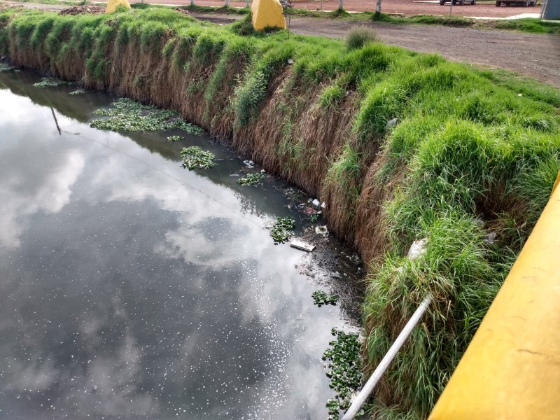 Retira CAEM más de 2 mil toneladas de basura