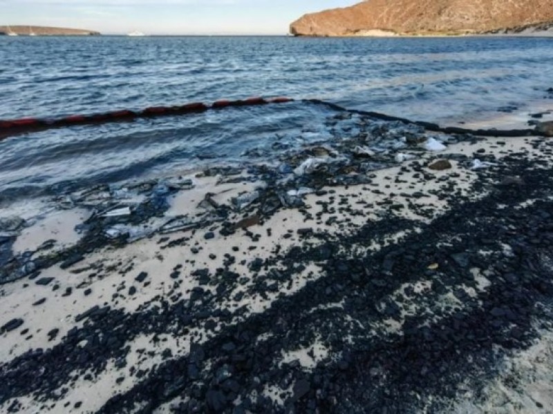 Retiran 10 toneladas de residuos tóxicos en Playa Balandra