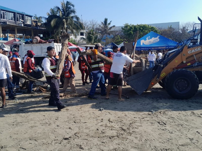Retiran 40 toneladas de basura y desechos de la playa de Veracruz ...