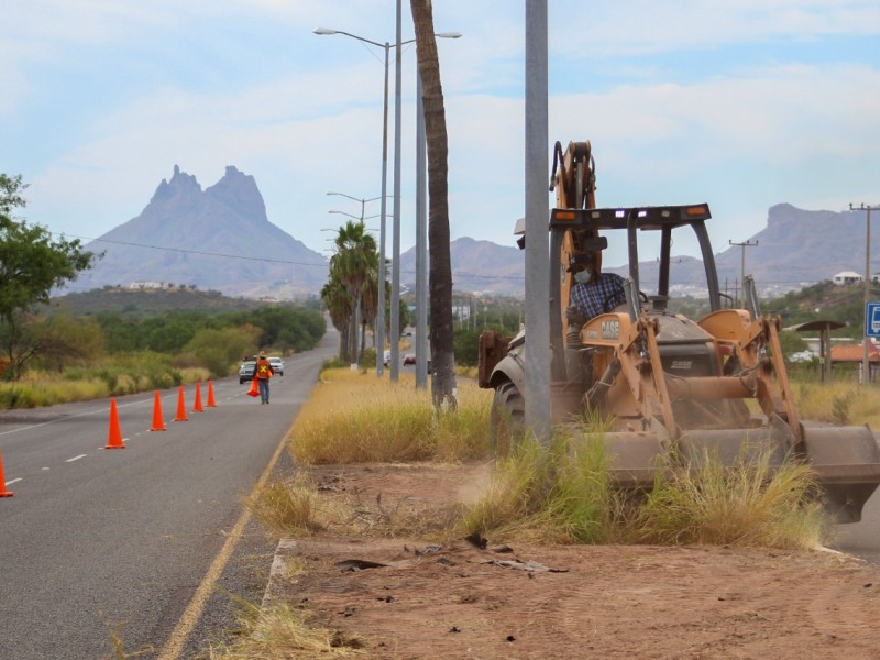 Retiran basura y maleza en camellones de San Carlos