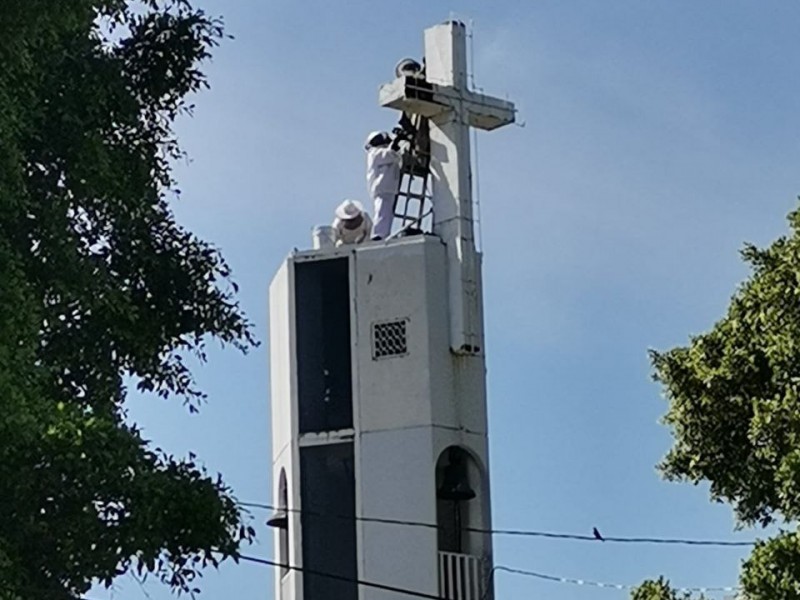 Retiran enjambre de abejas en Jardines del Moral