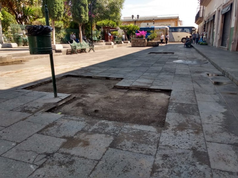 Retiran jardineras para construir andador culinario en Jerez