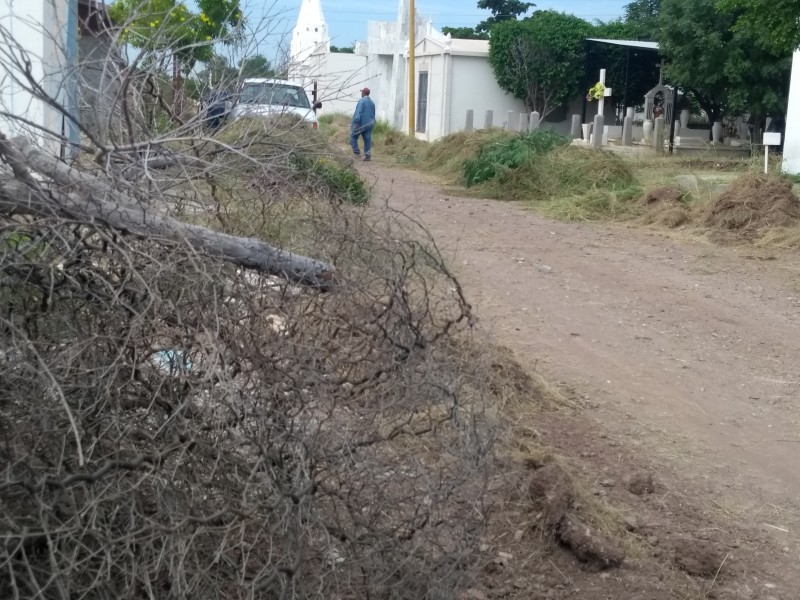 Retiran maleza del panteón